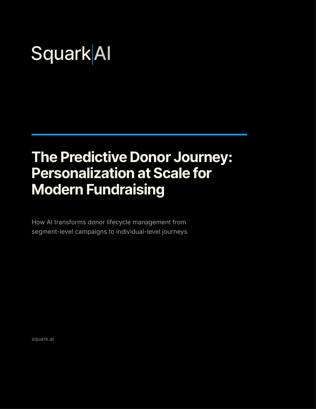 The Predictive Donor Journey: Personalization at Scale for Modern Fundraising white paper cover